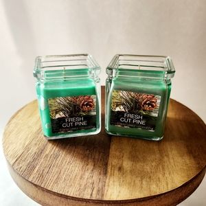 Set Of 2 • Fresh Cut Pine Scented Candle 2.5 Oz